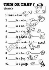Grammar Lessons Esl Preschool sketch template