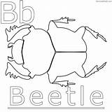 Beetle Sheets Coloringfolder sketch template
