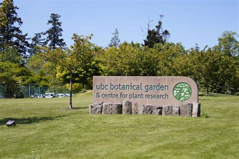 mashed thoughts  growing affair  ubc botanical garden