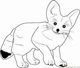 Coloring Fox Pages Cute Baby Library Clipart Kitten sketch template