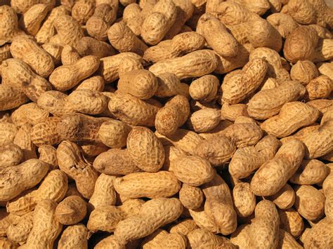love  peanuts