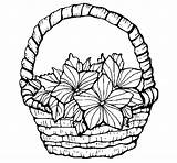 Flowers Basket Coloring Coloringcrew sketch template