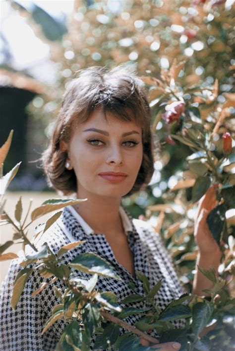 sophia loren on how she found her confidence we don t give up variety