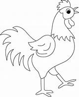 Coq Rooster Coloriages Kids Sor Dyk Animals Ko Hen sketch template