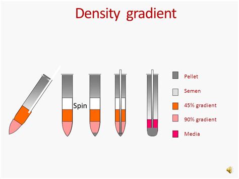 Sperm pellet analysis