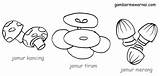 Jamur Mewarnai Gambar Sayuran Sketsa Sayur Tugas Warna Contoh Anak Animasi Gambarkakak sketch template