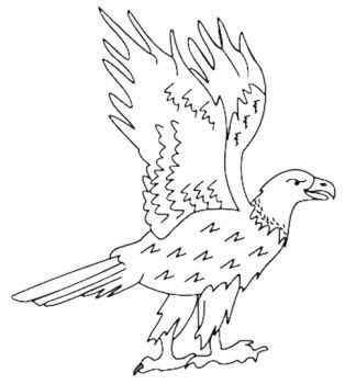 eagle coloring pages coloring pages bird coloring pages coloring