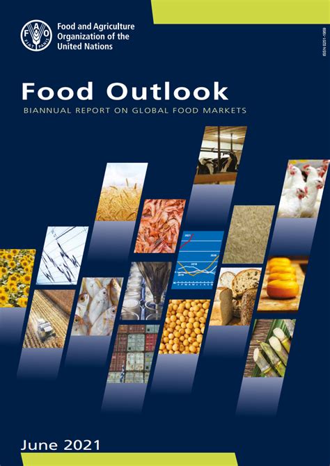 联合国粮食及农业组织：2020年全球粮食展望报告 粮食展望 美元 新浪科技 新浪网