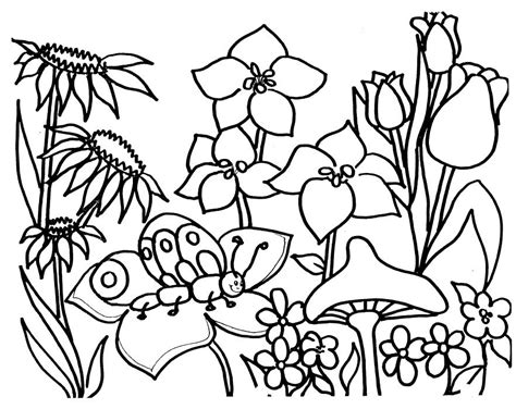flower bed drawing    clipartmag