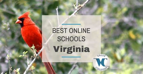 top 10 best online colleges in virginia value colleges