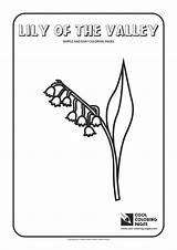 Coloring Pages Simple Lily Valley Easy Cool Print sketch template