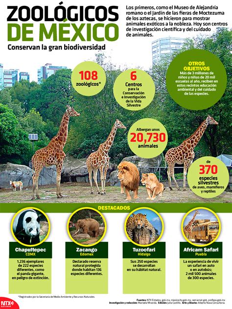 hoy tamaulipas infografia zoologicos de mexico