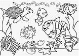 Colorir Aquaticos Desenhos sketch template
