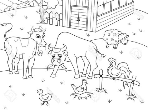 printable farm animal pictures  printable