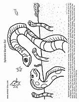Eel Coloring Pages Moray Electric Garden Getdrawings Getcolorings Print Drawing Colorings sketch template