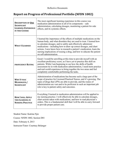 reflective documents  nursing portfolio