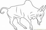 Bull Coloring Pages Indian Color Coloringpages101 Getcolorings sketch template
