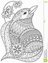 Coloring Pages Adult Animals Exotic Getcolorings Getdrawings sketch template