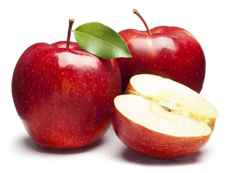 fresh apple   price  rajkot  ocean agri exim id