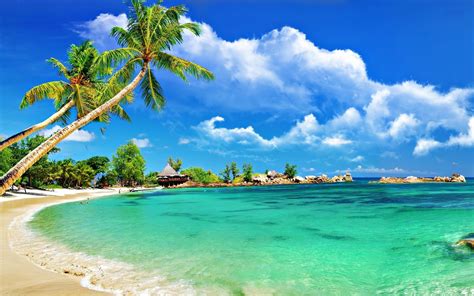 exotic beach wallpaper  images