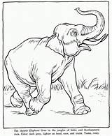 Elephant Elefante sketch template