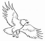 Eagle Coloring Harpy Bald Pages Color Getcolorings Eagles Printable sketch template