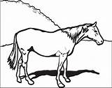 Horse Coloring Printable Click sketch template