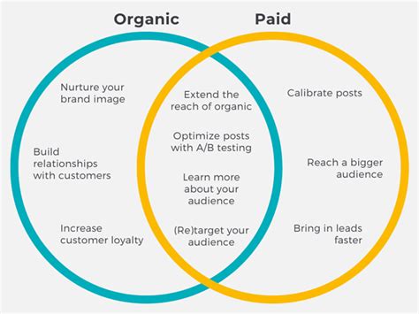 Top 10 Reasons You Should Blend Organic And Paid Social Media