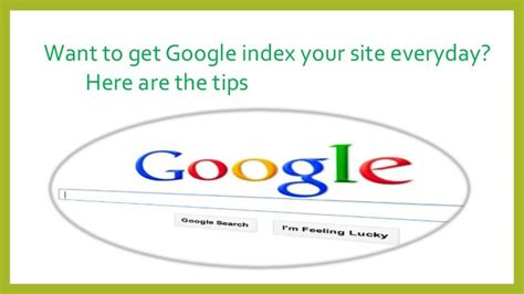 google index  website everyday