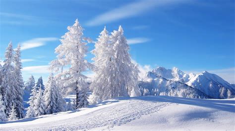 scenery wallpaper fond  ecran paysage hiver neige