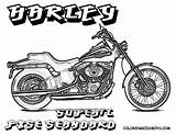 Harley Coloring Pages Softail Davidson Kids Fxst Standard Book Books Choose Board Sports Motorcycles sketch template