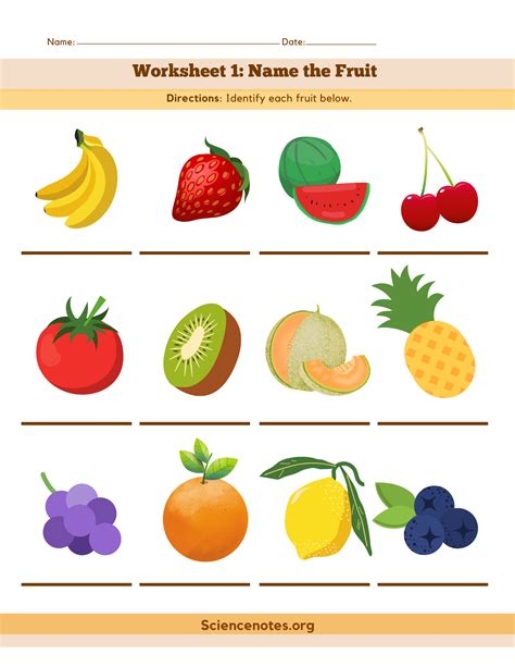 vegetable matching worksheet kindergarten worksheets matching