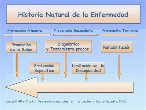 Historia Natural De La Enfermedad 1