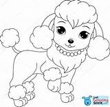 Dog Poodle Puppy Puppies Poodles Drawing Maltese Justcoloringbook Regarding sketch template