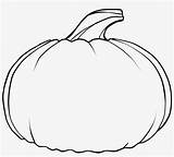 Pumpkin Seekpng sketch template