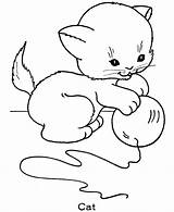 Cat Coloring Pages Printable Kids sketch template