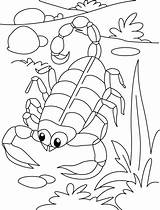 Coloring Scorpion Pages Kids Sheets Desert Serpentine Printable Printabe Toddler Top Geography Animals Animal Colouring Getdrawings Crafts Choose Board sketch template