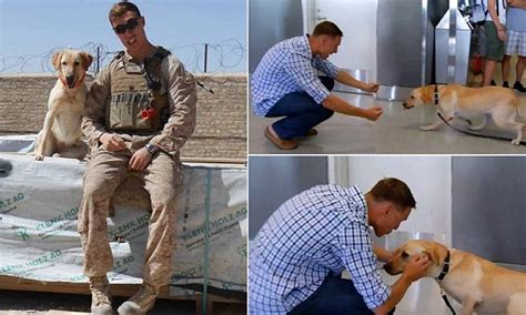 i was missing a part of me heartwarming moment marine sergeant is reunited with his military
