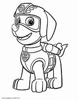 Paw Patrol Coloring Pages Print Zuma Printable Marshall Chase Template Colouring Cartoon Getdrawings Sketch Rocky Gif Choose Board Kids sketch template