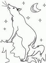 Coyote Coloring Pages Printable Wile Cool2bkids Popular sketch template