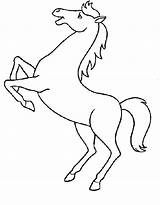 Cavalo Empinando Desenho Qdb sketch template