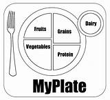 Food Pyramid Myplate Coloring Pages Healthy Plate Kids Worksheet Choose Color Blank Worksheets Template Easy Worksheeto Board Nutrition Via Recipes sketch template
