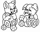 Pig Female Coloring Cliparts Fat Sweet Clipart Favorites Add Library Clip sketch template