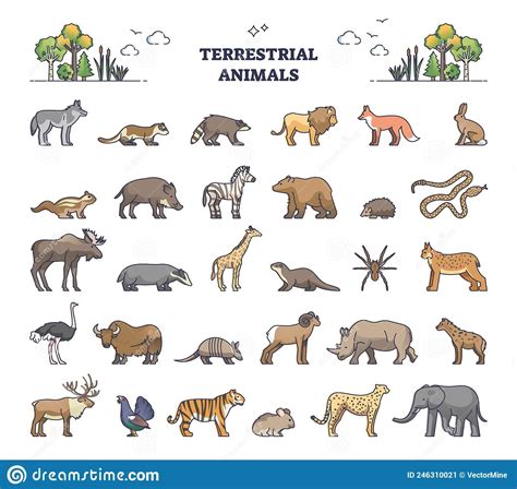 terrestrial animals group  living species  land outline collection set stock vector