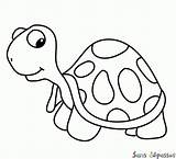 Tortue Coloriage Dait Yeux sketch template