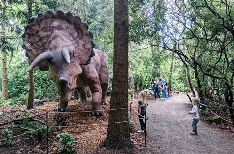 woodland park zoo dinosaur exhibit parent review seattles child
