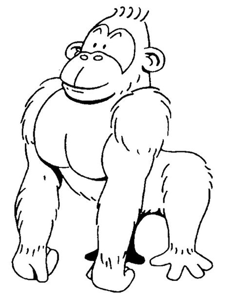 animals gorilla printable coloring pages  preschool