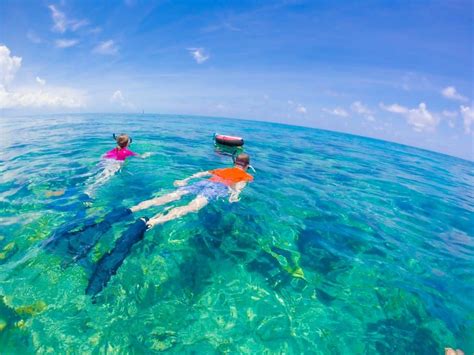 pristine places  snorkeling  florida florida trippers