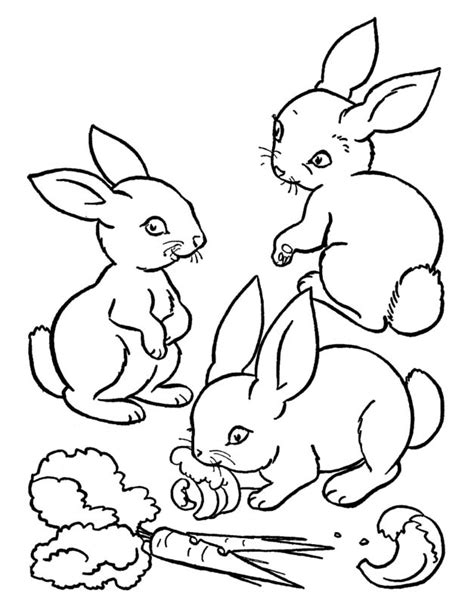 Carrot Coloring Page Az Coloring Pages