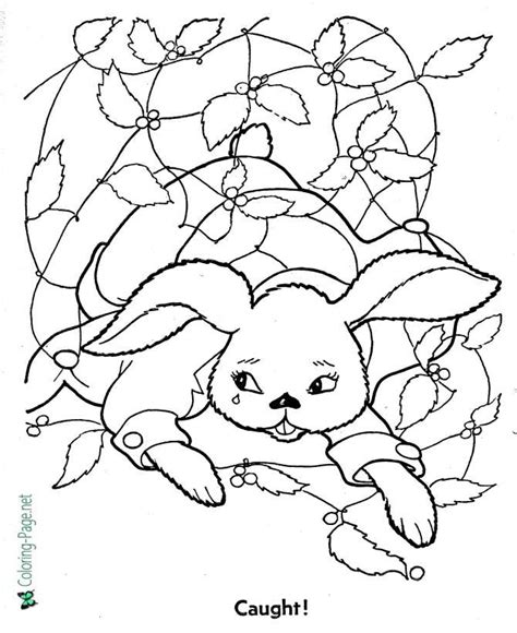 caught peter rabbit coloring page
